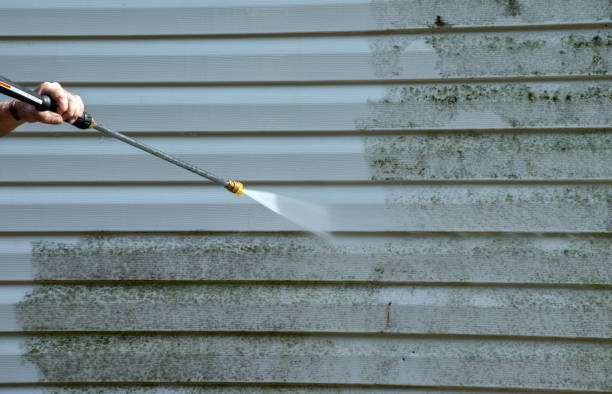 Best Roof Power Washing Services  in West Terre Haute, IN