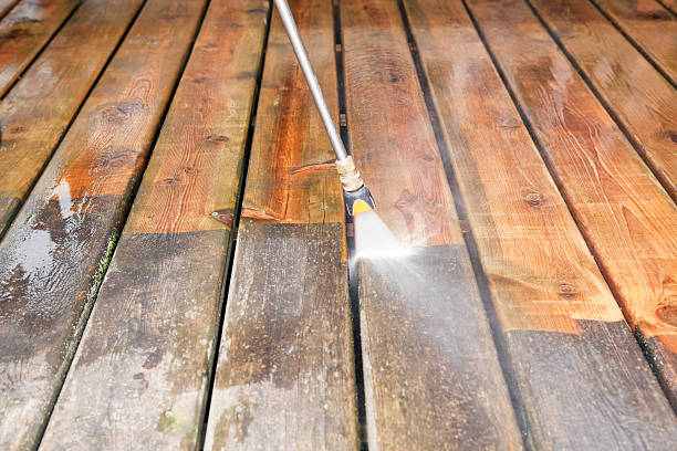 Best Roof Pressure Washing  in West Terre Haute, IN
