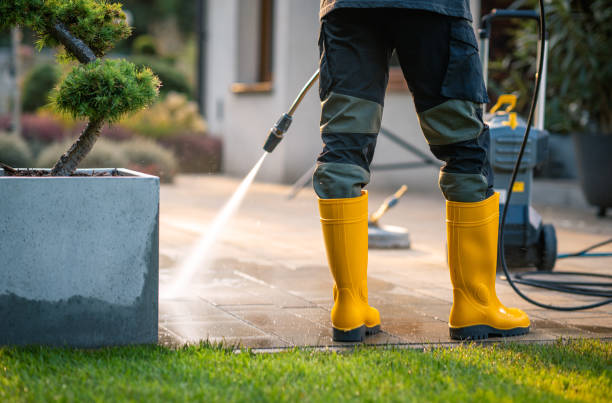 Best Exterior Home Cleaning  in West Terre Haute, IN